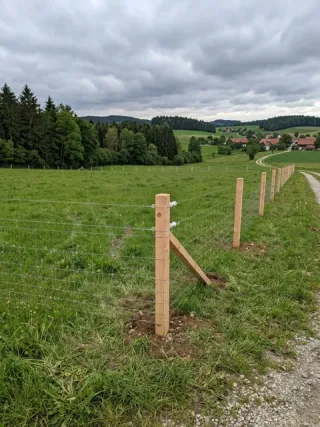 Weidezaun in Jesewitz - fachgerechte Ausführung vor Ort